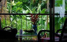 Papayas Self Catering Room