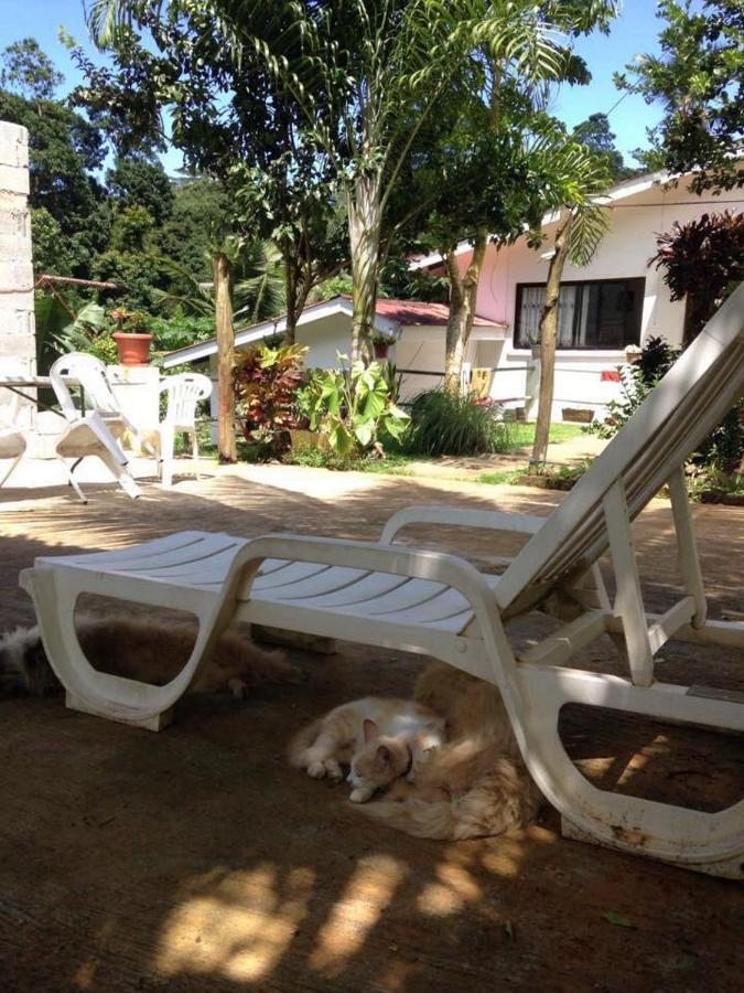 Papayas Self Catering Room Виктория Экстерьер фото