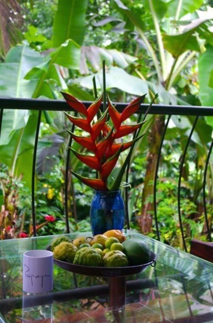 Papayas Self Catering Room Виктория Экстерьер фото